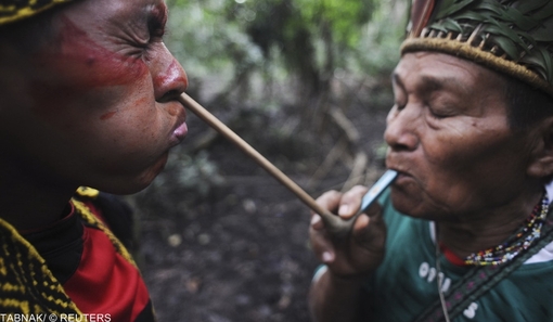 تصاویر/ زندگی در جنگلهای آمازون