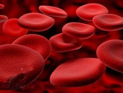 عفونت خون چیست؟