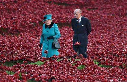 ملکه انگلیس و دوک ادینبورگ در محوطه « زمین های شسته با خون و دریای سرخ» در مرکز لندن که شامل 800000 گل سرامیکی به یاد درگذشتگان جنگ جهانی اول است