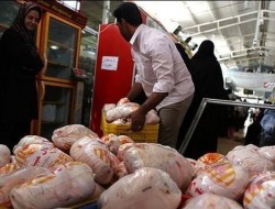 راهکار ساماندهی بازار مرغ/ عرضه در بورس کالا انجام شود