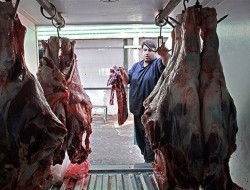 افزایش ۱۰ هزار تومانی قیمت گوشت گوسفندی در ۸ ماه گذشته