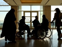 لایحه حمایت از معلولان برای اشتغال ضمانت اجرایی ندارد