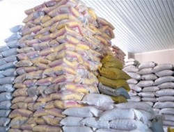 سرنوشت نامعلوم محموله وارداتی ۶۶۰ هزار کیسه‌ برنج فاسد از اروگوئه‌