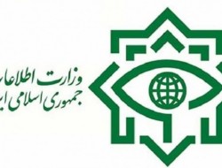 واکنش وزارت اطلاعات به گزارش تفحص مجلس از دوتابعیتی‌ها