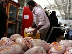 توقف ثبت سفارش برای واردات کنجاله/ قیمت مرغ روند افزایشی گرفت