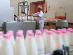 افزایش هزار تومانی قیمت هر بطری شیر!