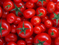 آزادسازی ۴۰ روزه صادرات گوجه‌فرنگی و محصولات آن