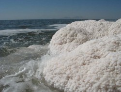 نمک دریا تهدیدی برای سلامت افراد جامعه