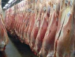 تداوم واردات گوشت تا کاهش قیمت به ۶۵هزار تومان/تدابیر ویژه برای تأمین مرغ و گوشت ماه رمضان