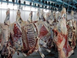 گوشت تنظیم‌بازاری به دست ۸۸درصد مردم نرسید