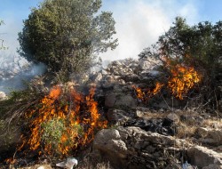 40 هکتار از جنگلها و مراتع ارتفاعات گچساران در آتش سوخت