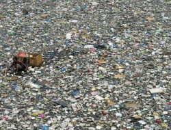آلودگی پلاستیکی به باکتری‌های تولید کننده اکسیژن آسیب می‌زند
