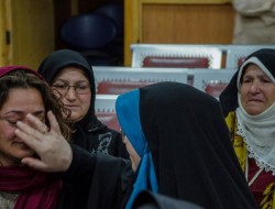 «در جستجوی فریده»، نماینده ایران در اسکار