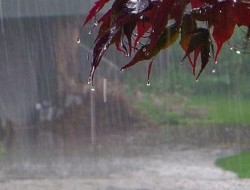 بارندگی در برخی استان‌ها، از فردا