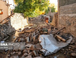 بیمه‌ها در حال ارزیابی خسارت زلزله‌زدگان/ پرداخت خسارت در محل
