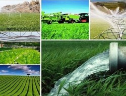 تولیدات کشاورزی کرمانشاه به 4.6 میلیون تن رسید
