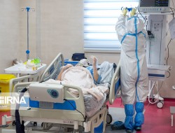 تعداد مراجعان و افراد بستری در بیمارستان‌های درگیر کرونا در کرمانشاه روند کاهشی دارد