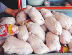 قیمت هر کیلو مرغ به ۲۱ هزار تومان رسید