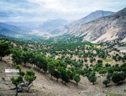 رییس کل دادگستری: ۹۳ درصد زمین‌های استان کرمانشاه رفع تداخل شده است