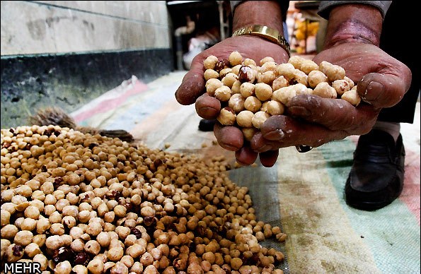 اگر ببینید دیگه آجیل نمی خورید/گزارش تصویری