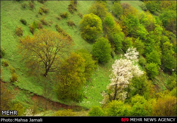 طبیعت منطقه ارسباران