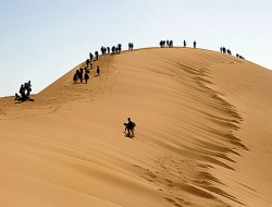 اعلام علت مرگ گردشگران در کویر مرنجاب