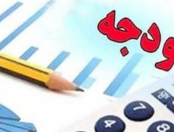 گزارش بی‌انضباطی مالی دولت تکان‌دهنده است