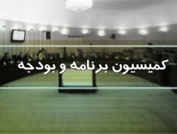 بررسی ابهامات طرح سپرده گذاری ارزی در کمیسیون برنامه و بودجه