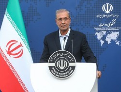 سخنگوی دولت: با کسانی که ارز دولتی گرفته ولی واردات انجام ندادند، همچون قاچاقچی برخورد می‌کنیم