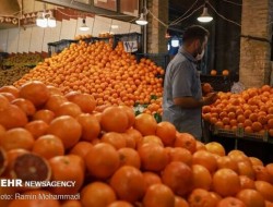 سهمیه ۷۰ تنی میوه شب عید برای سرپل ذهاب