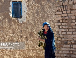 جنجال‌های تاسیس سازمانی ویژه «مهاجران»