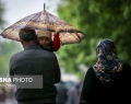 بارش باران در نقاط مختلف کشور/ کاهش ۴ تا ۷ درجه‌ای دما در ۵ استان