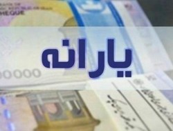 اسماعیلی مطرح کرد: پیشنهاد دولت برای افزایش ۱۰ درصدی یارانه‌ها در سال ۱۴۰۲