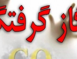 فوت دختر ۳ ساله در کرمانشاه به علت گازگرفتگی